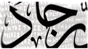 Translation Services