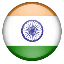 professional Hindi translation services