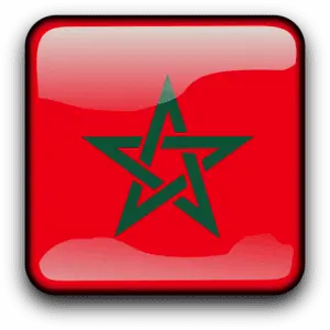 Berber translation services