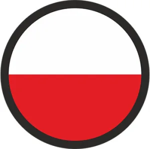 Polish translation services