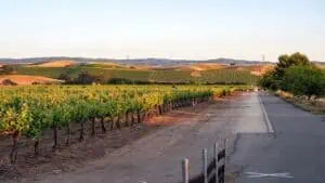 Livermore CA Translation Services Company