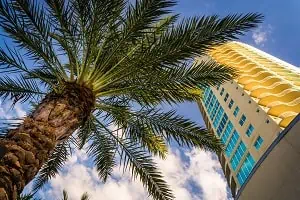 Certified translation services in Saint Petersburg Florida